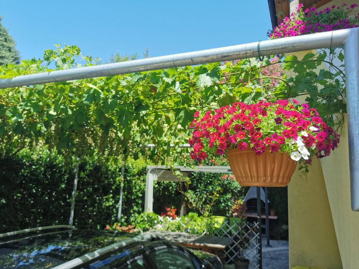 Apartman Nekic Cres Exterior photo